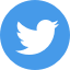 Twitter icon